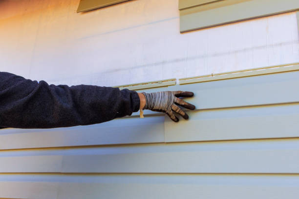 Best Fiber Cement Siding Installation  in Swedesboro, NJ